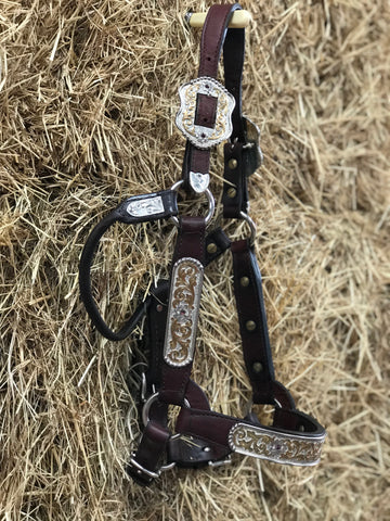 Kathy's Show Equipment Silver & Gold Halter Set With Amethyst Stones - 2 yr Old / Mare