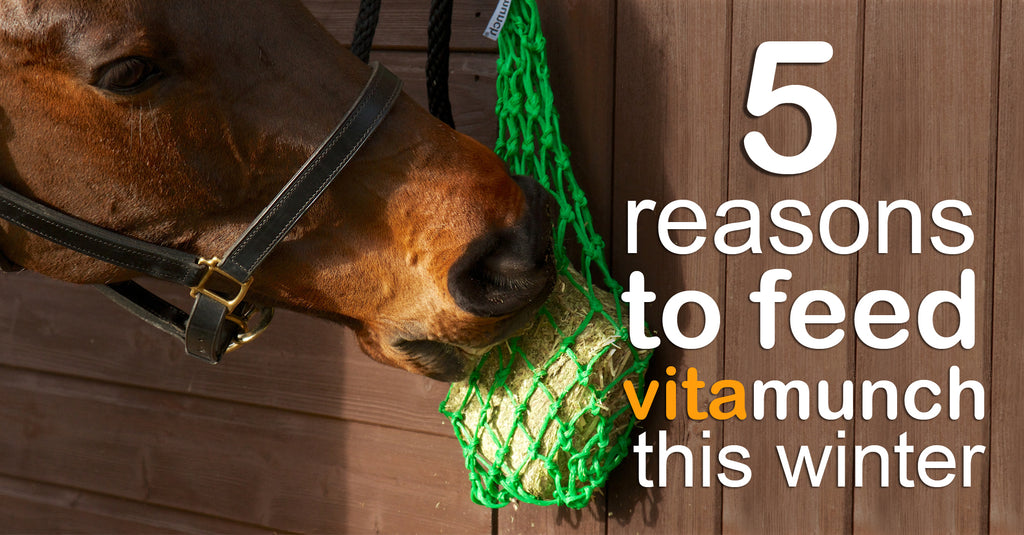 5 Reasons Why You Should Feed VitaMunch In Winter.