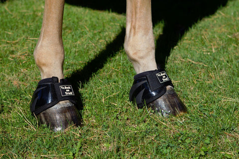 Back on Track® Equine Bell Boots - Performance