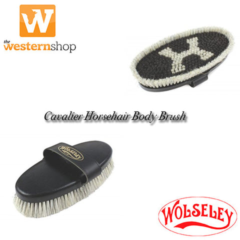 Wolseley Cavalier Body Brush
