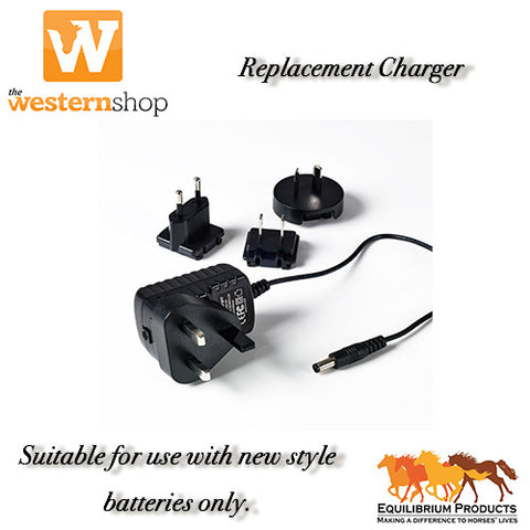 Equilibrium Replacement Battery Charger
