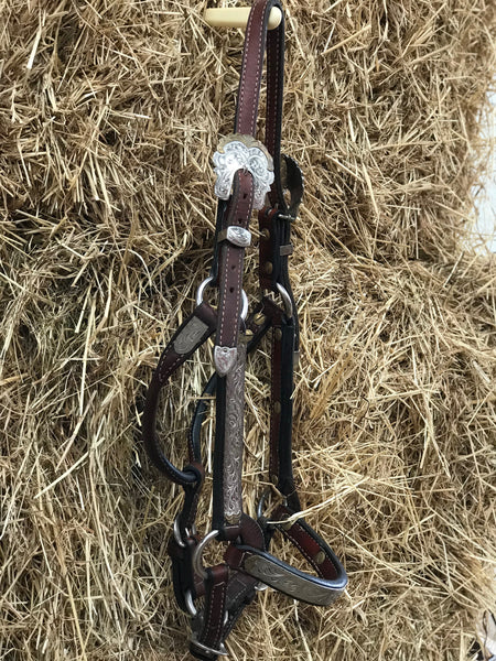 Dale Chavez Silver & Gold Halter - Yearling