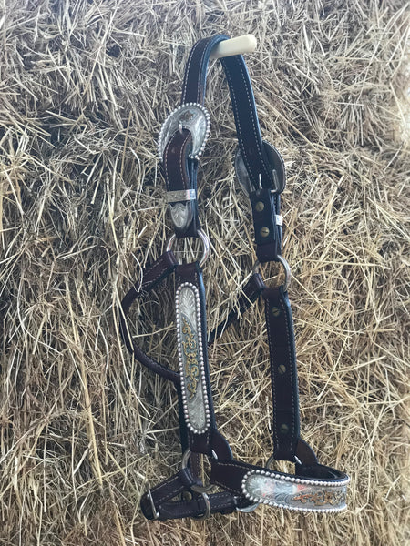 Roth Show Equipment Silver & Gold Halter Set With Red Stones -  Yearling