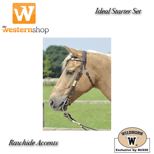 Wildhorn 'Nevada' Rawhide Accent Browband Headstall