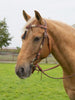 Wildhorn 'Washita' Rawhide and Horse Hair Tassel Futurity Knot Headstall